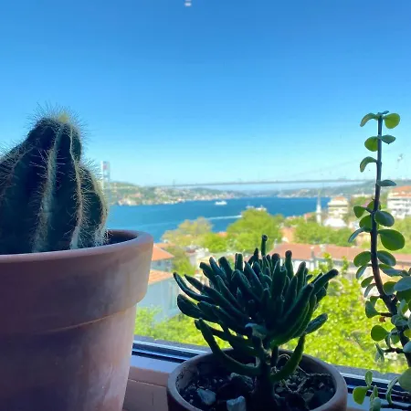 Appartement Delightful With Backyard And Bosphorus View In Uskudar *