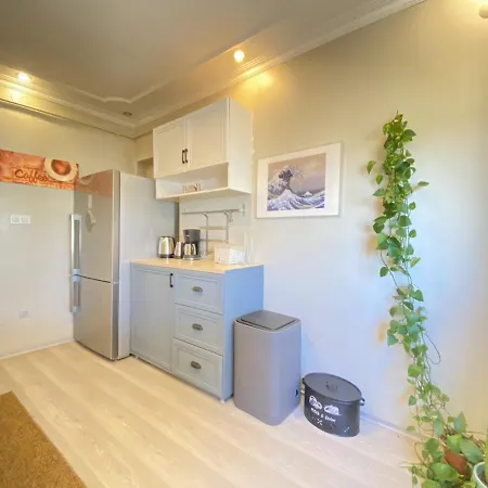 Delightful With Backyard And Bosphorus View In Uskudar *